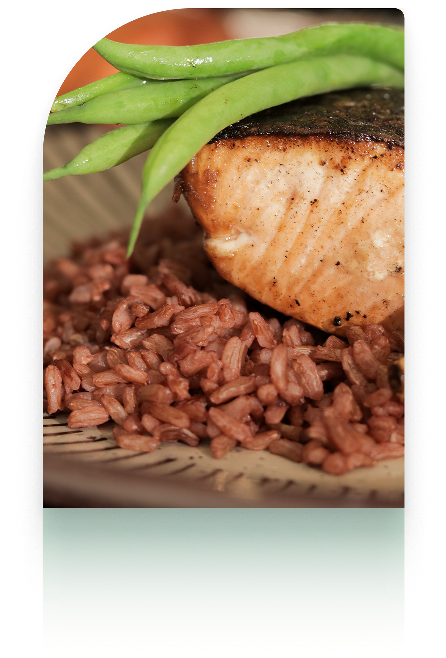Salmon Plate
